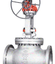 Cast Steel Valve